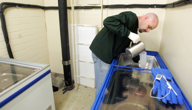 Preserving body parts is a labor of love at UA's Plastination Lab   