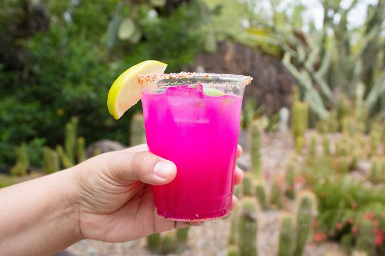 Margarita at the Arizona-Sonora Desert Museum