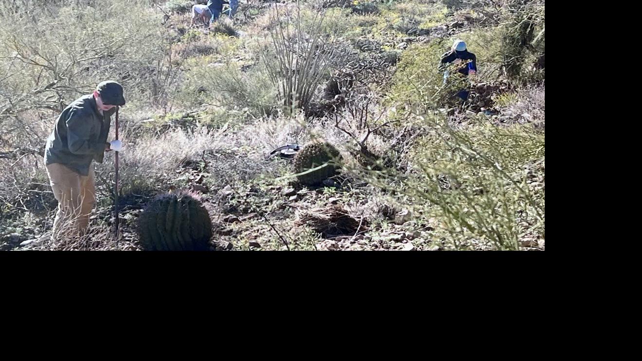 Volunteers mobilize to fight invasive buffelgrass during 'Save Our Saguaros' month