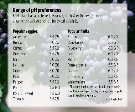 Ph Level Chart For Vegetables