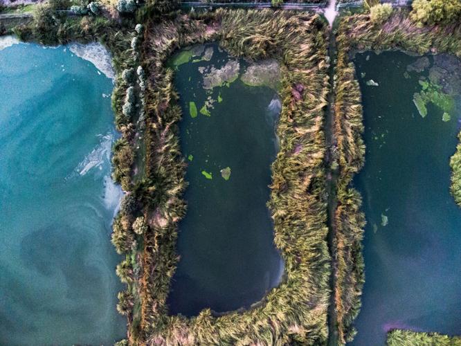 San Carlos, Guaymas, sewage, 2021 (le 6)