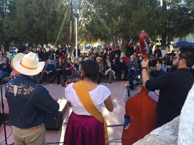 Cenzontles in Banámichi