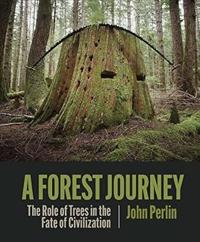 Immerse your senses in forests: 4 recommended books