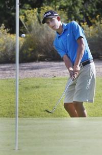 Catalina Foothills' Cohen shows good taste