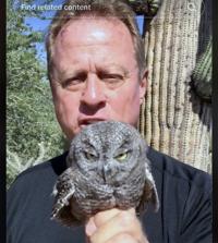 'Sassy' elf owl rescued in Tucson becomes a big TikTok star