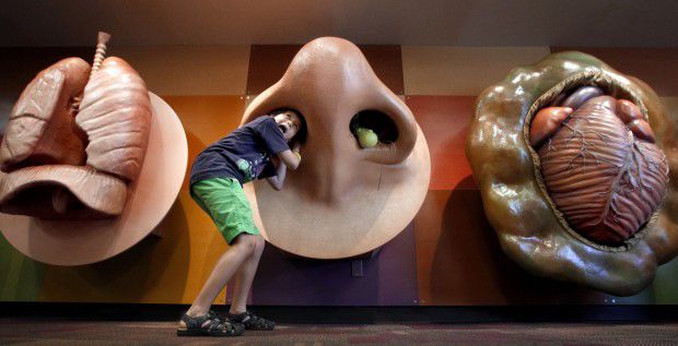 Up-close science at Children's Museum