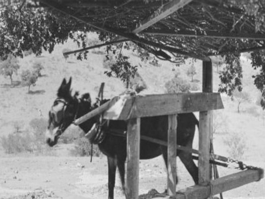 Mine Tales Comstock Of Arizona Yielded Millions In Gold Silver