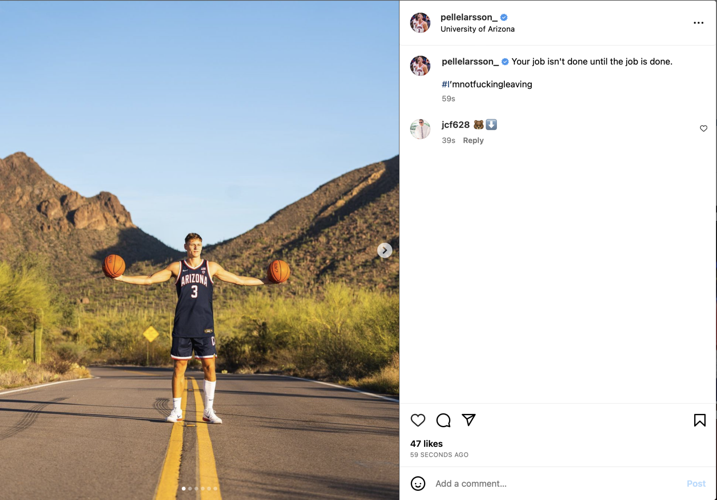 Pelle Larsson staying at Arizona