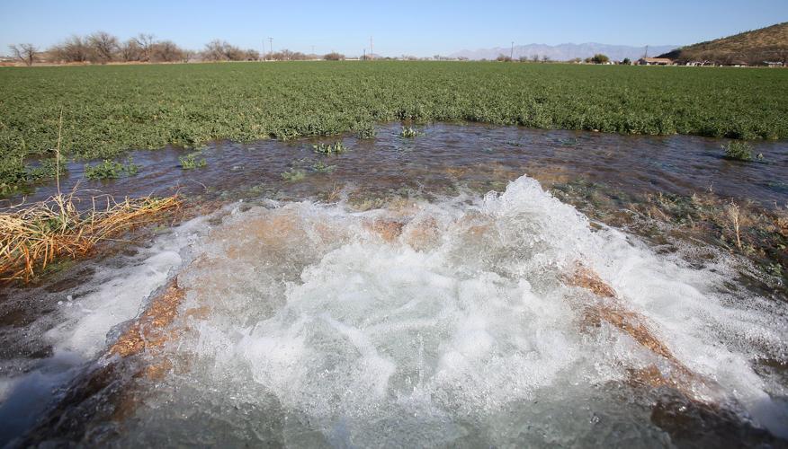San Xavier Farm Co-Op
