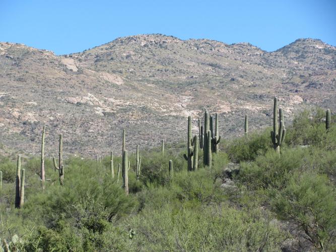 Saguaro National Park entrance fees
