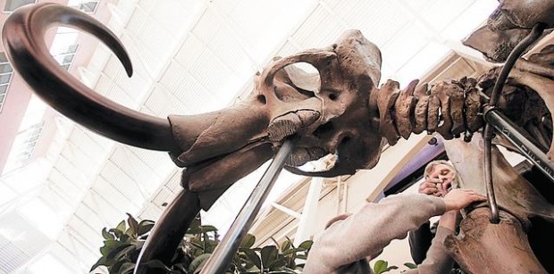 Picture a mammoth in your den — just $150K  