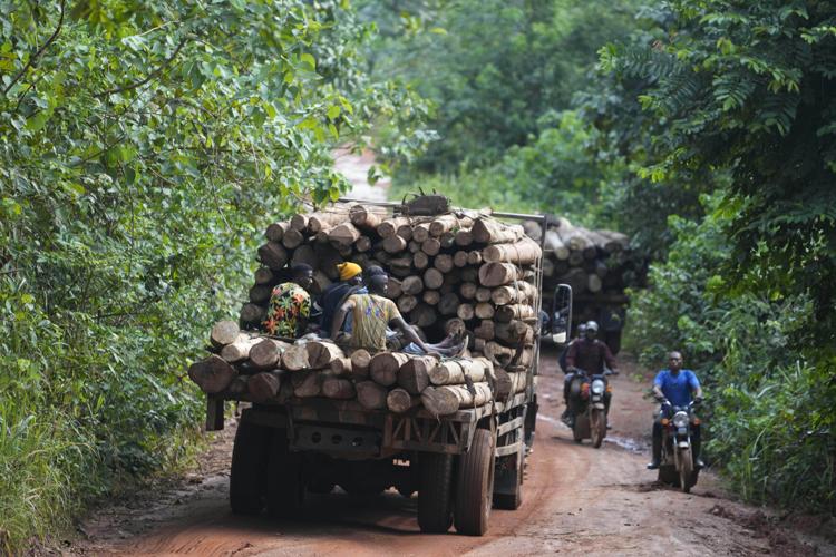 Nigeria Deforestation Logging