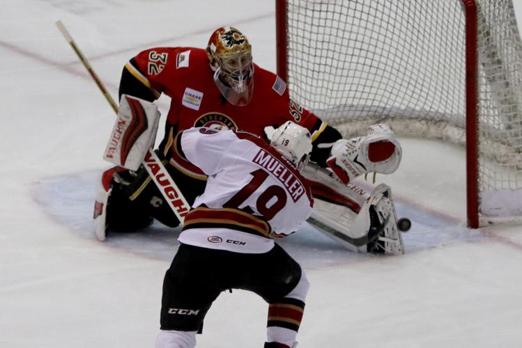 Tucson Roadrunners v Stockton Heat