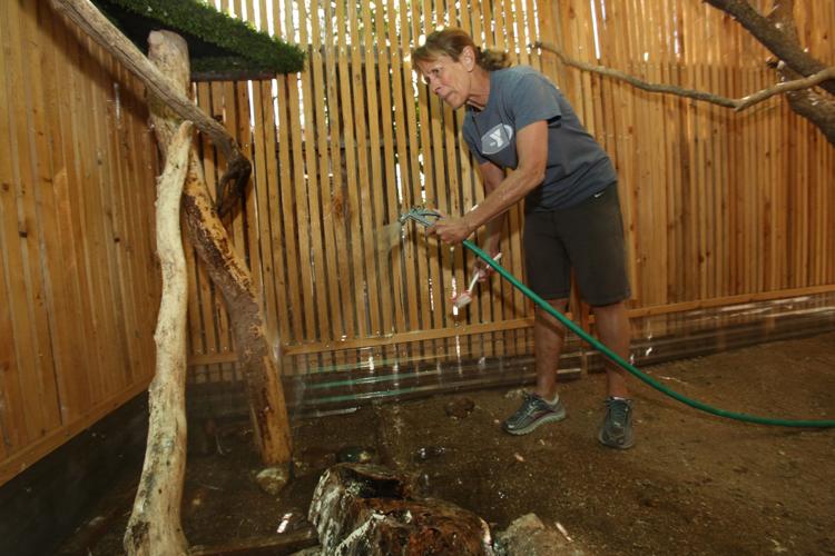 Wildlife sanctuary rebuilds