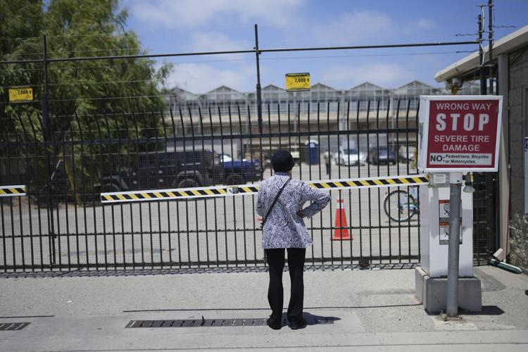 Immigration Raids California Farm