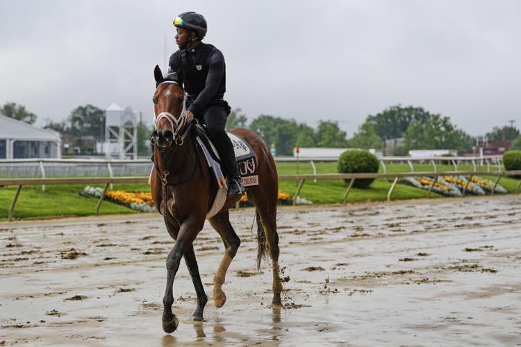 Preakness Horse Racing