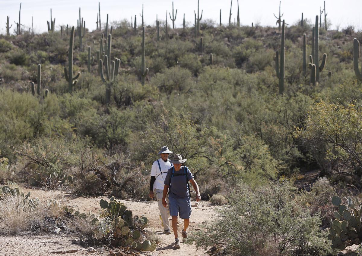 Esperero Trail in Sabino Canyon
