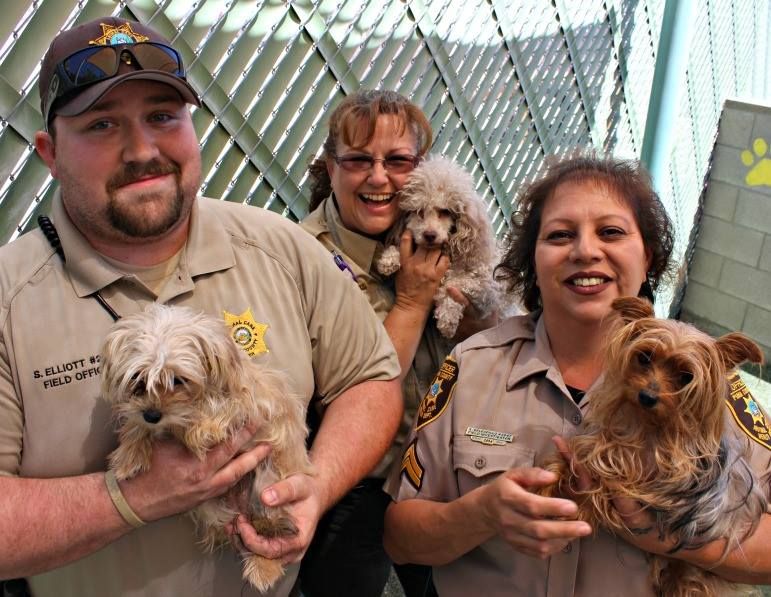 Nearly 100 pets from Tucson hoarding homes rescued in April