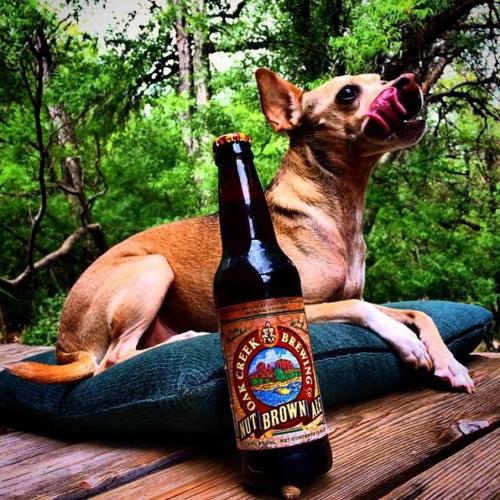 Oak Creek Brewing Co.