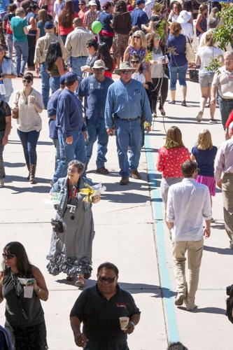 Tucson Meet Yourself