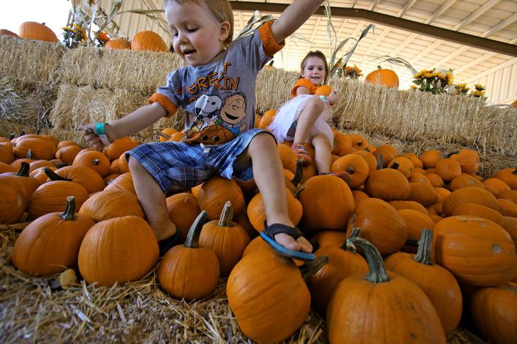 Marana Pumpkin Patch and Farm Festival