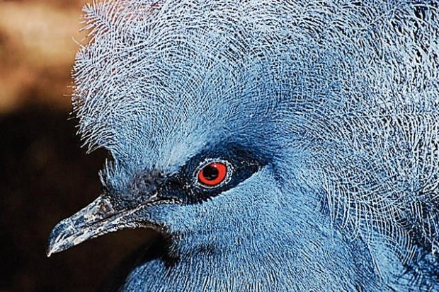 'Anywhere I go, I bring my camera'  