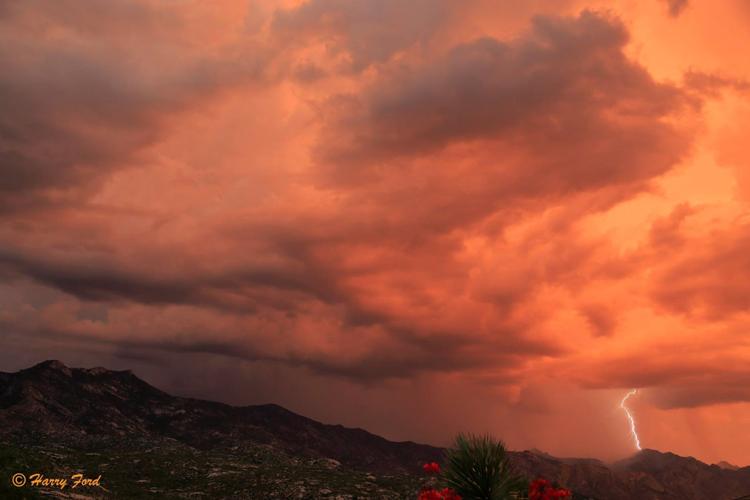 Monsoon photo contest