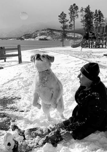 Havoc in the Plains, ski dreams in the Rockies  