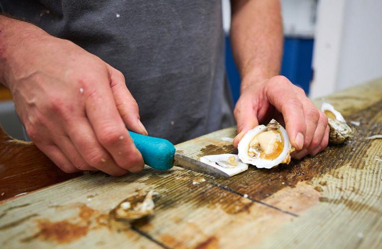 Oyster shucking