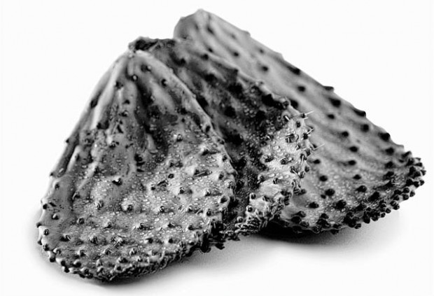 It's easy to buy, store, prepare edible cactus  