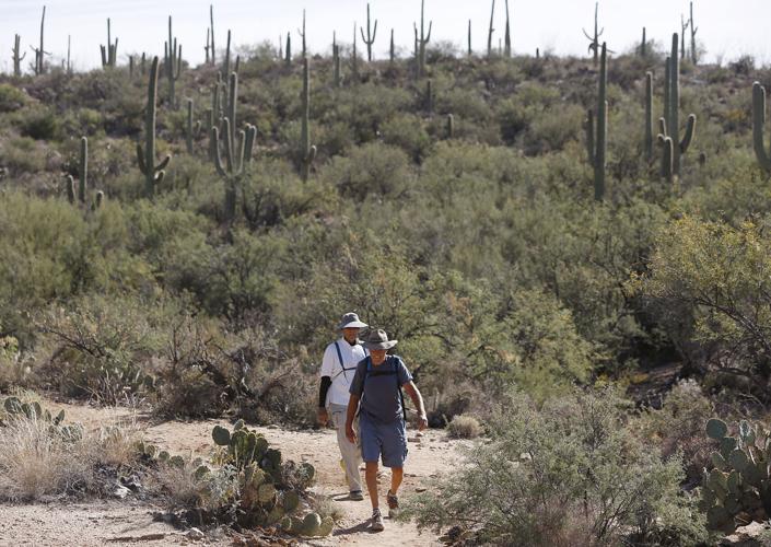 Esperero Trail in Sabino Canyon
