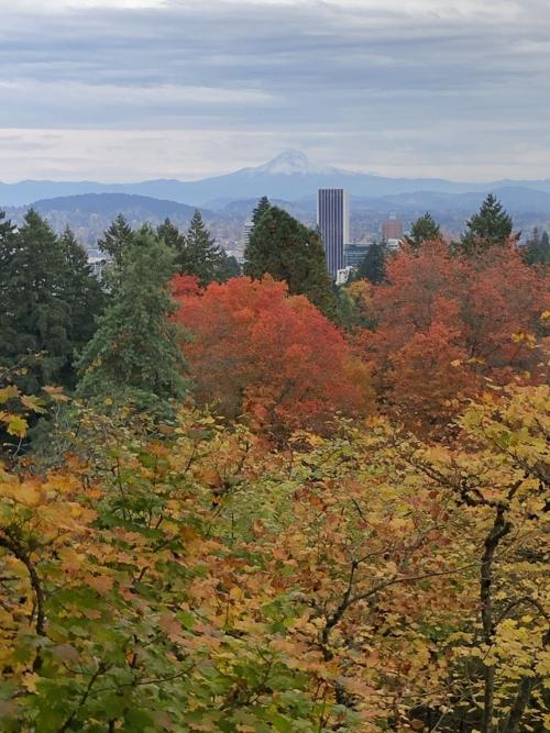 Mt. Hood and downtown Portland