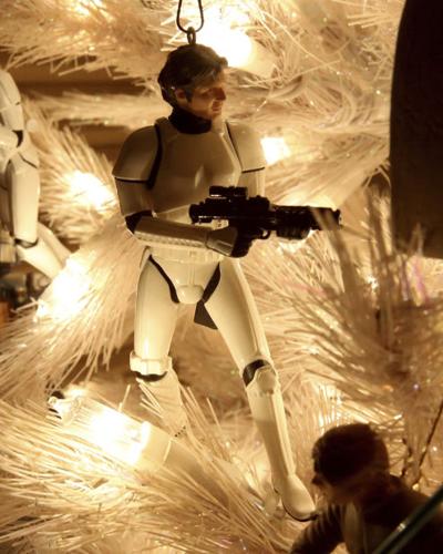 Fleck family's Christmas tree ornaments