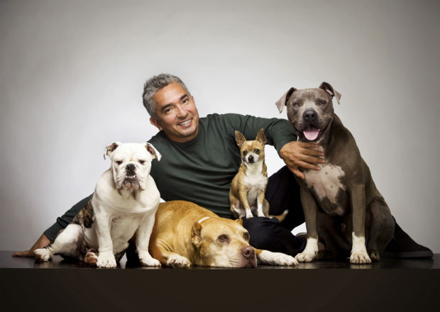 Dog Whisperer calls off Tucson show