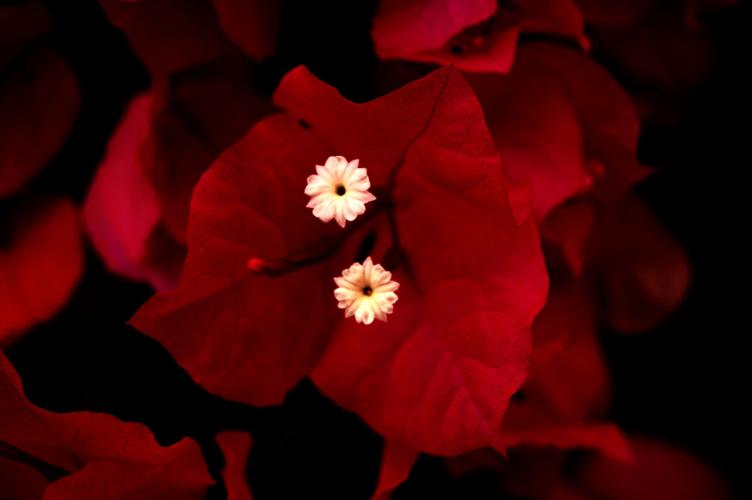 2015 Adventures in Nature photo contest