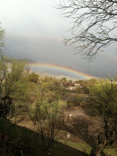 Tucson rainbows