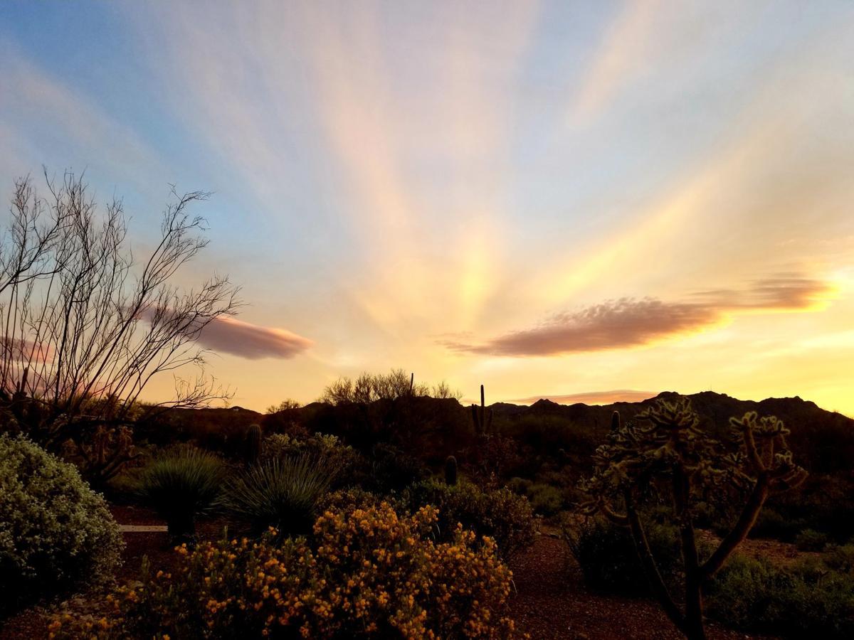 Tucson sunset
