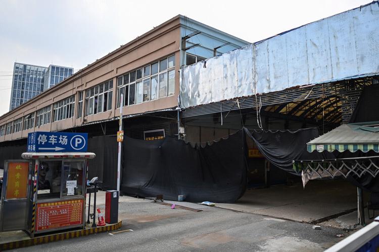 Studies offer further evidence that the coronavirus pandemic began in animals in Wuhan market