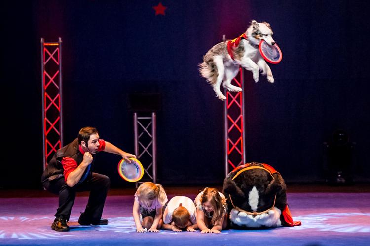 Can your pooch do this?