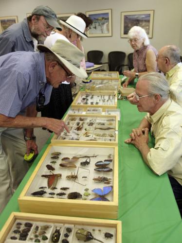 Show of desert plants, critters    