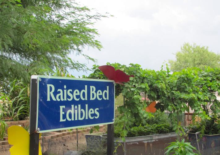 Raised Bed Edibles