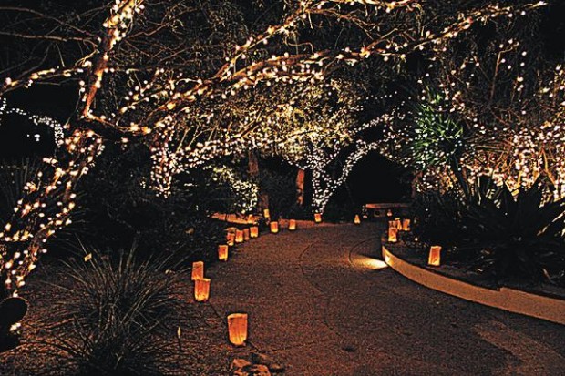 Tohono Chul Christmas Lights 2022 Santa's Own Theme Park Is In Chandler Tohono Chul Marks Season With Lights  Indian Food, Activities At Rillito Park | Entertainment | Tucson.com