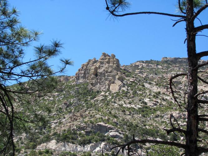 Trails on the eastern slopes of the Santa Catalina Mountains