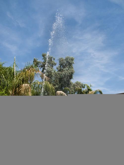 How Do We Know If Our Irrigation System Is Working Properly?