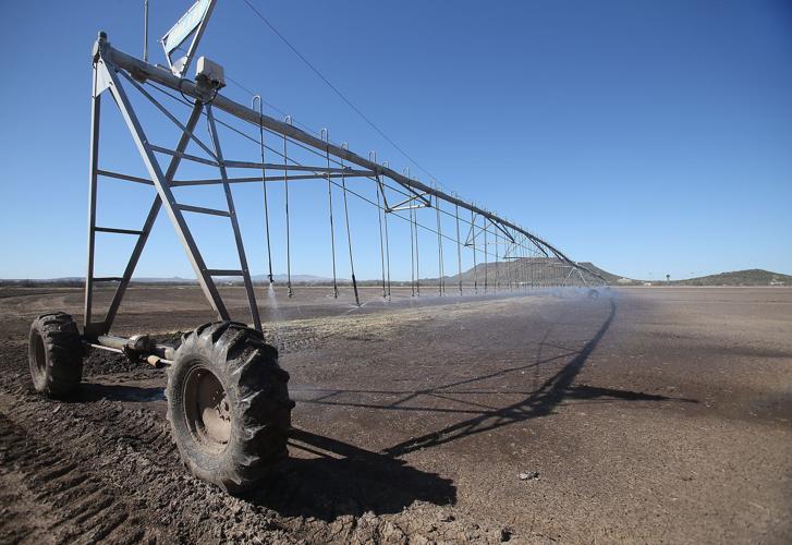 San Xavier Farm Co-Op