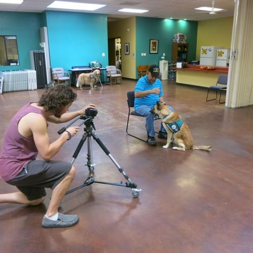 Doggie Shorts: A Furry Film Festival