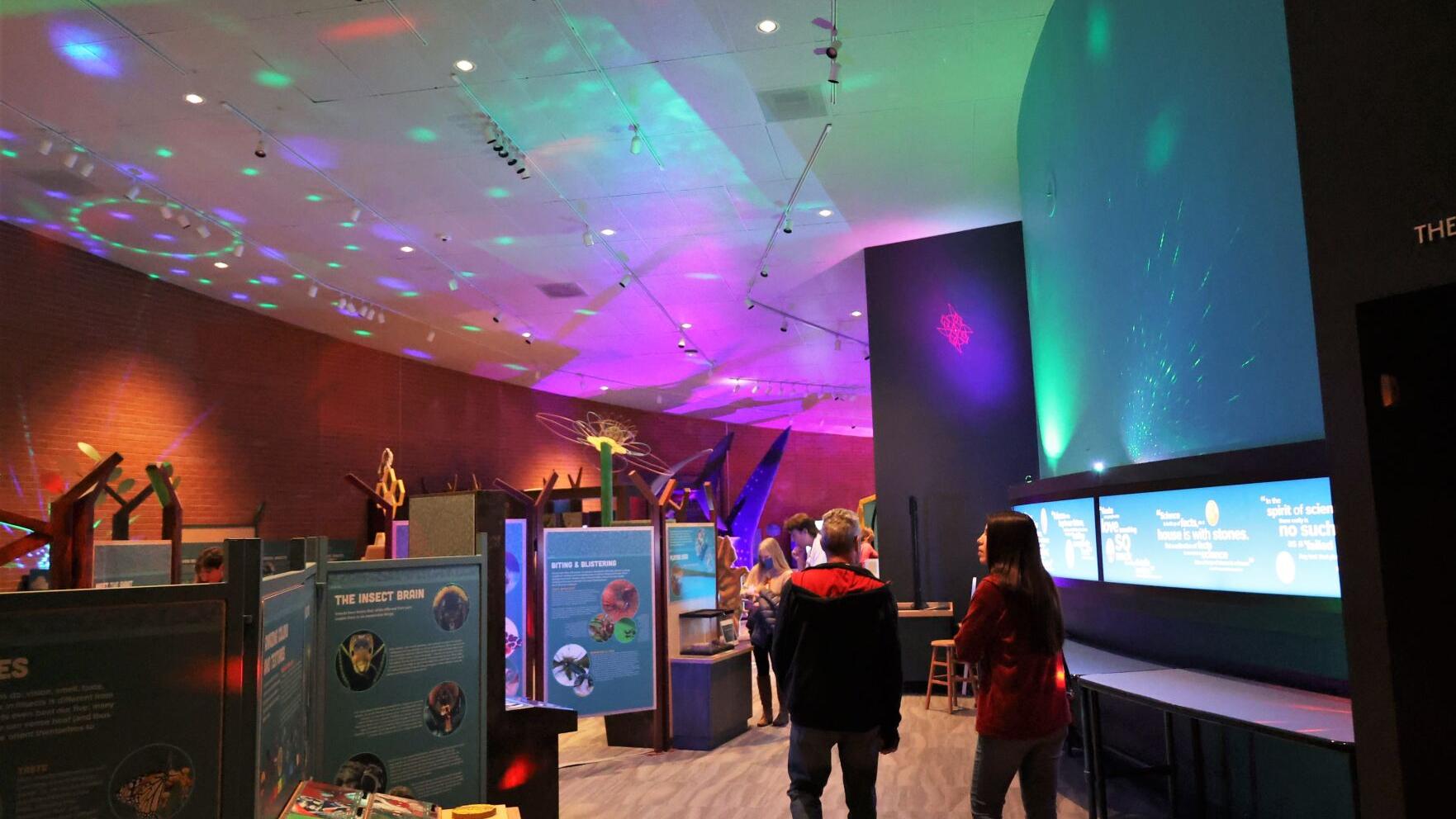 Things to do in Tucson: movie, music, zoo after hours | to do - Vimarsana News