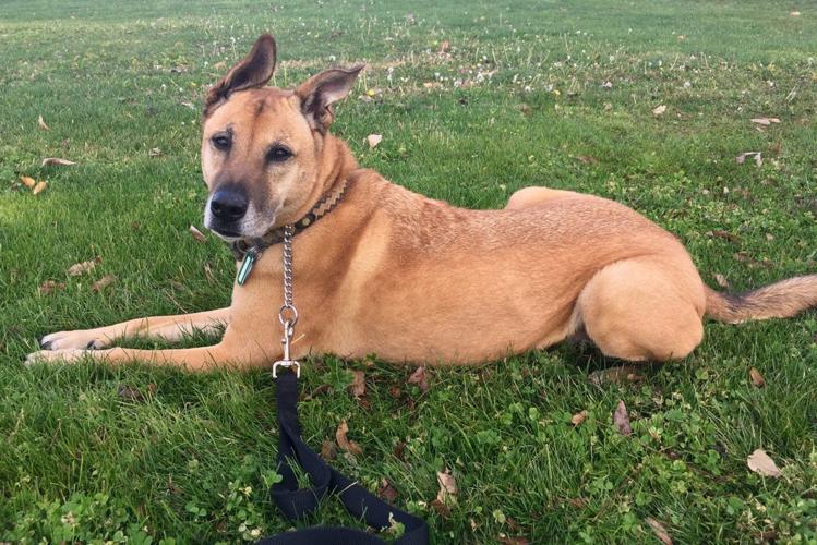 Adopt a friend: Coco