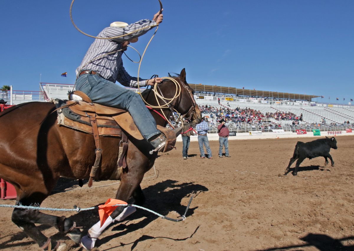 2016 Tucson Rodeo