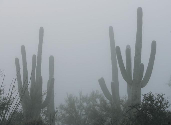 Stunning photos of Tucson fog